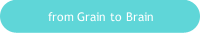 from Grain to Brain